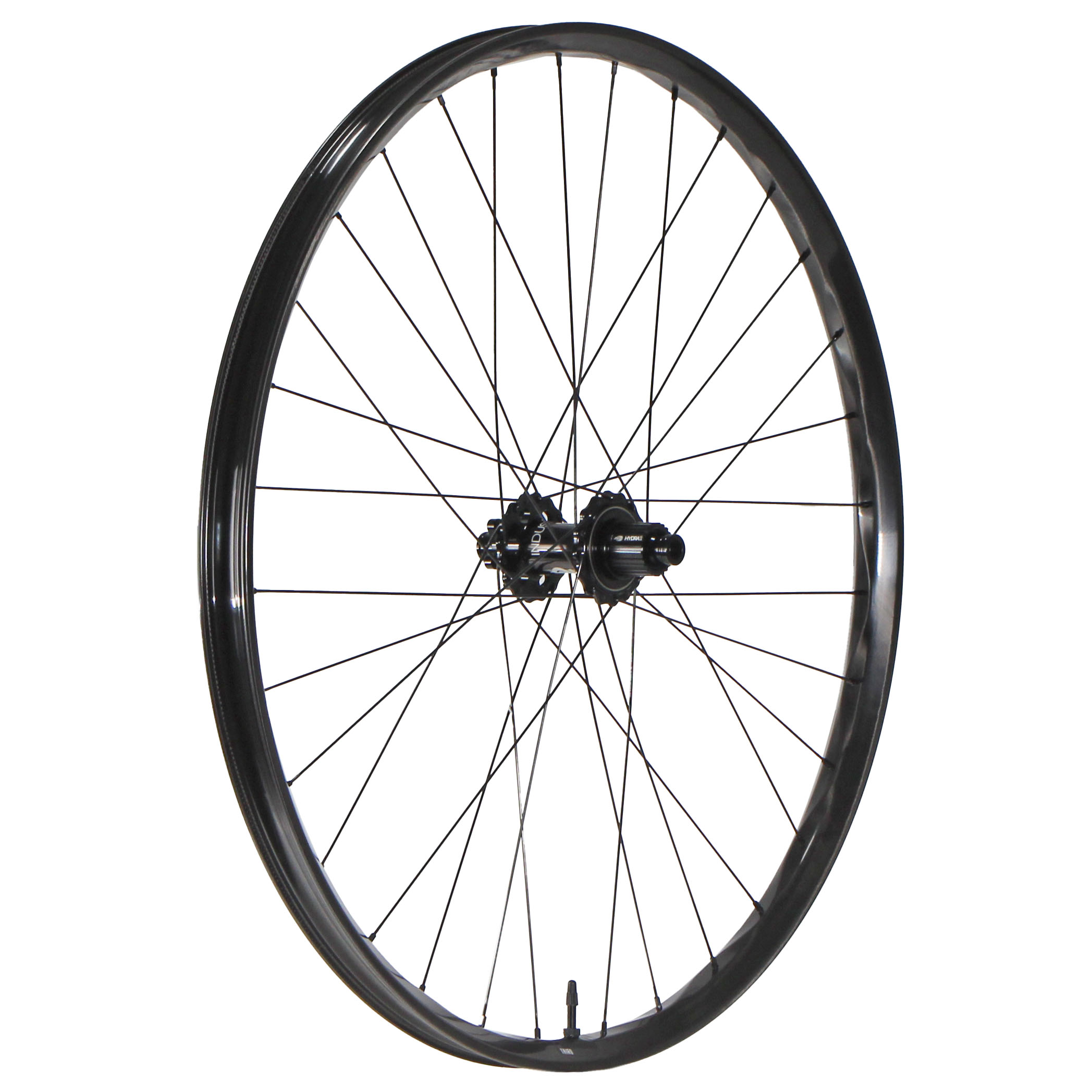 We Are One Triad 29" Rear Wheel 12x148 MS Black