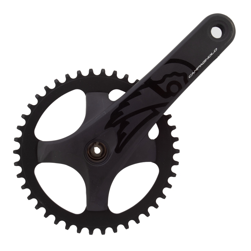 Campagnolo EKAR GT 175x42 ProTech crankset black