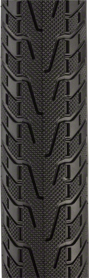 Panaracer Pasela ProTite Tires - Image 2