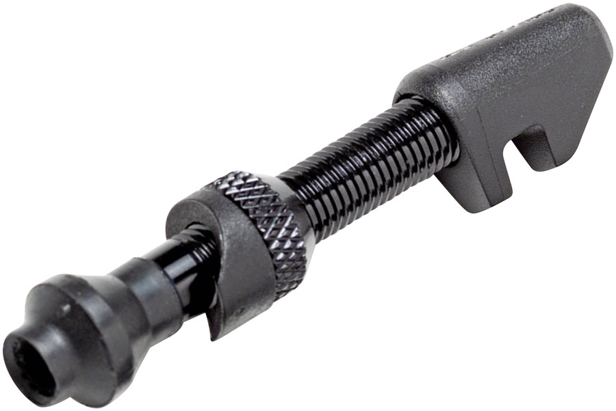 DT Swiss Alloy Tubeless Valves variant 2