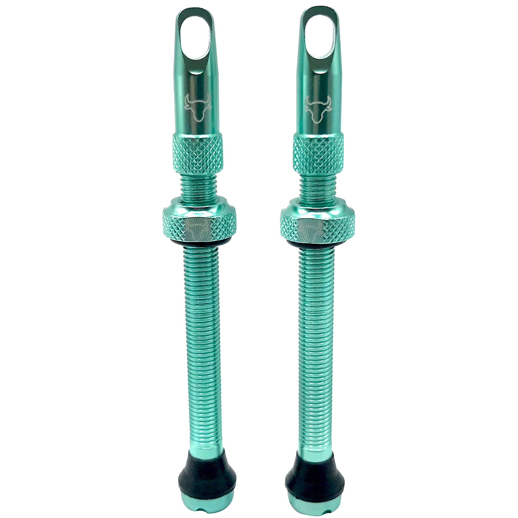 Hold Fast Cycling Tubeless Valve Stem 65mm (Pair) - Turquoise Hold Fast Cycling Tubeless Valve Stem 65mm (Pair) - Turquoise