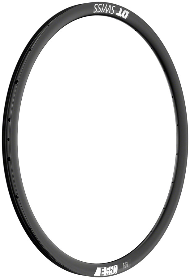 DT Swiss E 550 Disc 29in Rim