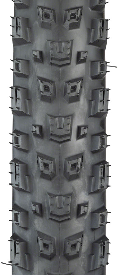 Teravail Warwick Tire - Tubeless Folding - Image 12