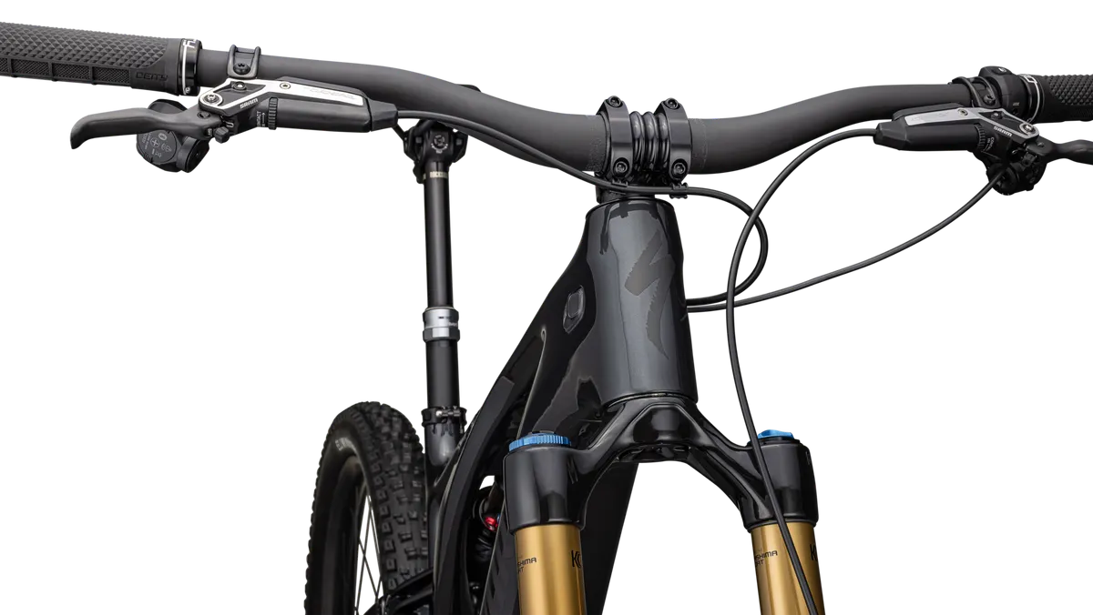 S-Works Turbo Levo 3 T-Type - Image 5