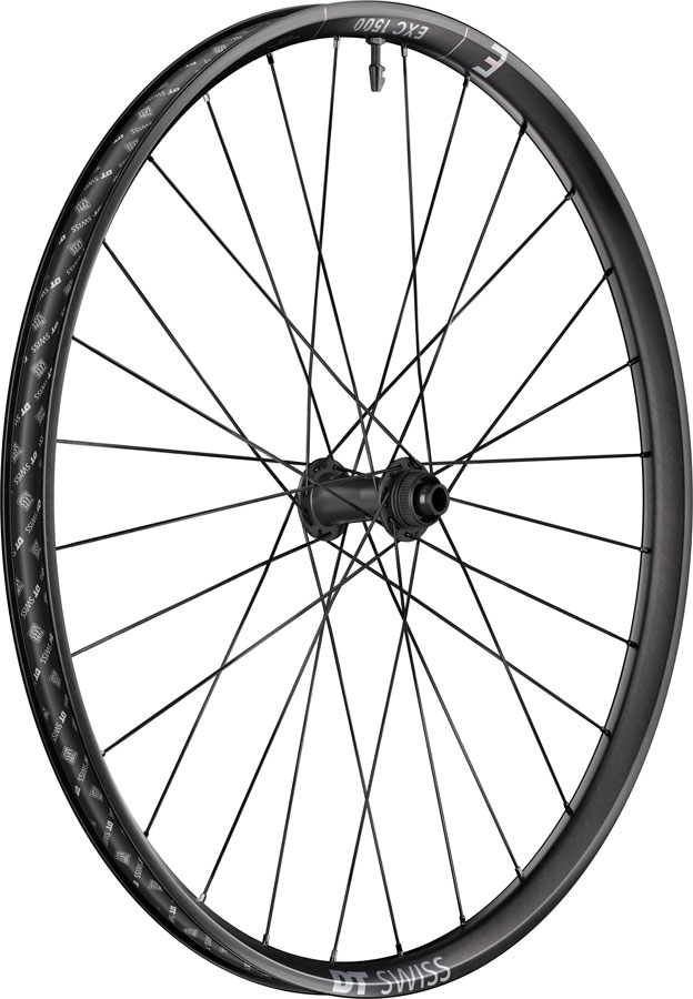 DT Swiss EXC 1500 Classic 30 Front Wheel - 29" 15 x 110mm Center-Lock Black