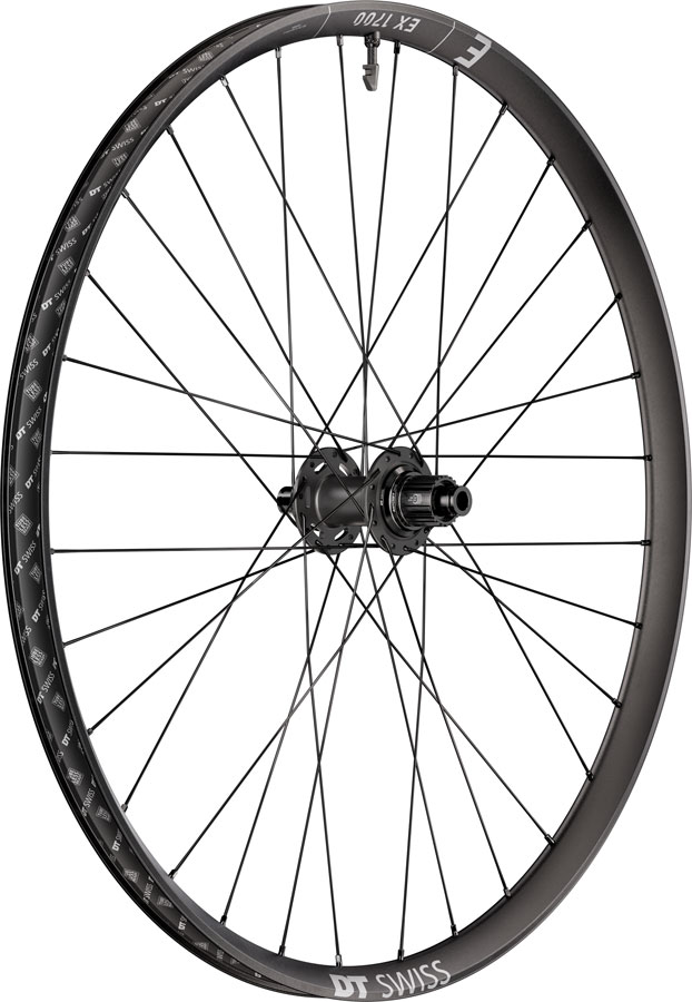 DT Swiss EX 1700 Classic 30 Rear Wheel - 29" 12 x 148mm Center-Lock Micro Spline DEG 72 DF BLK