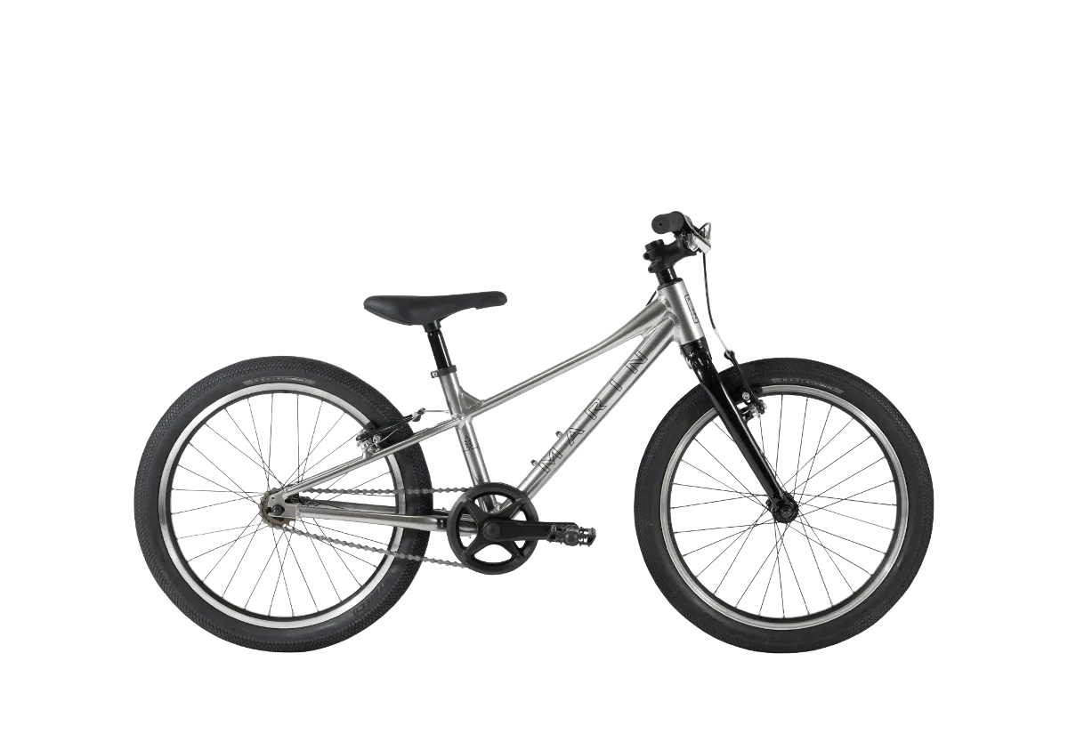Coast Trail 20" 1 variant 4