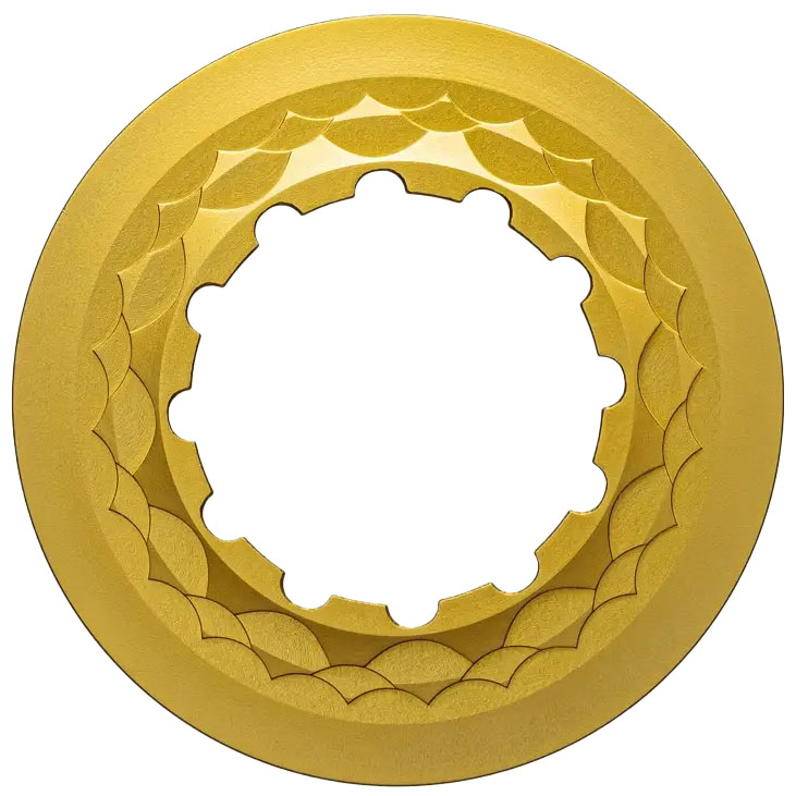 absoluteBLACK Center Lock Rotor Lockring variant 4