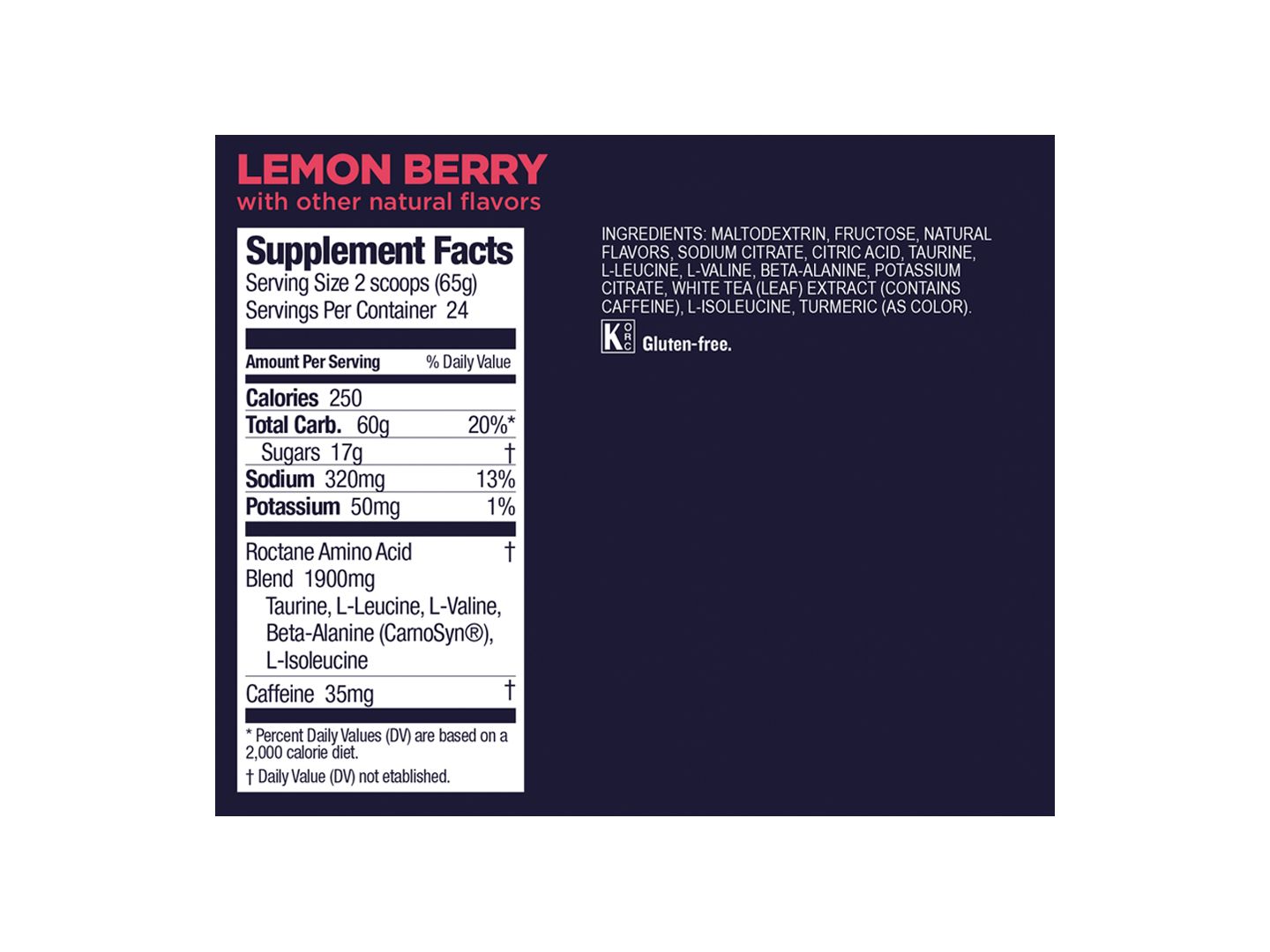 GU Roctane Energy Drink Mix 24-Serving Canister - Image 2