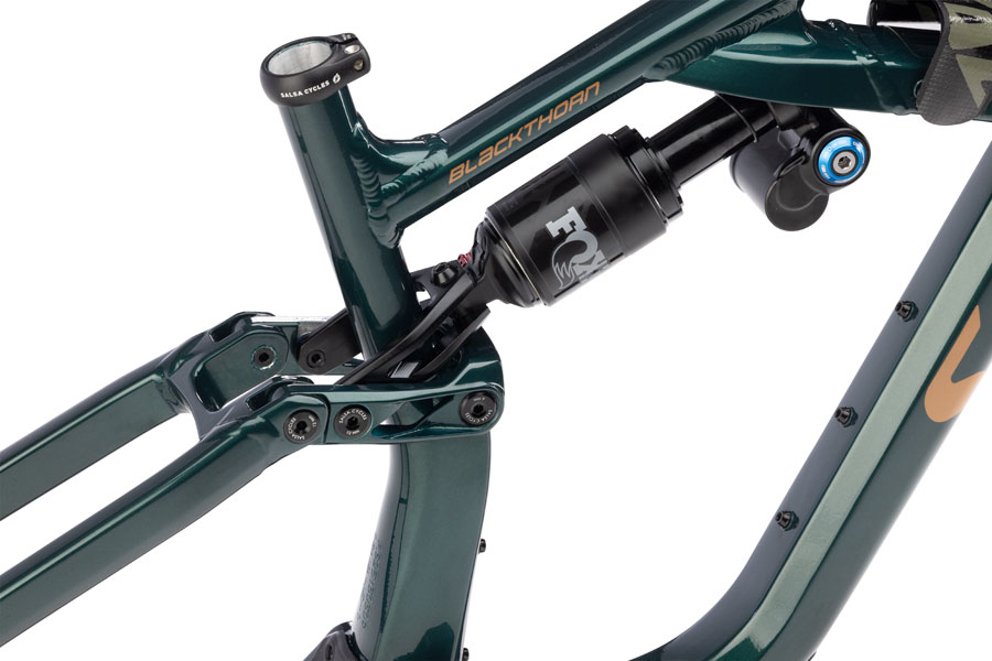 Salsa Blackthorn 145 Frame - Image 4