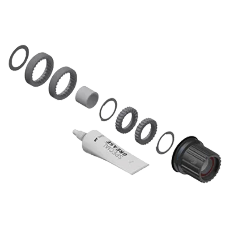 Dt swiss Shimano Microspline Ratchet Conversion Kit SHI 12s Micro 18t Steel Blk