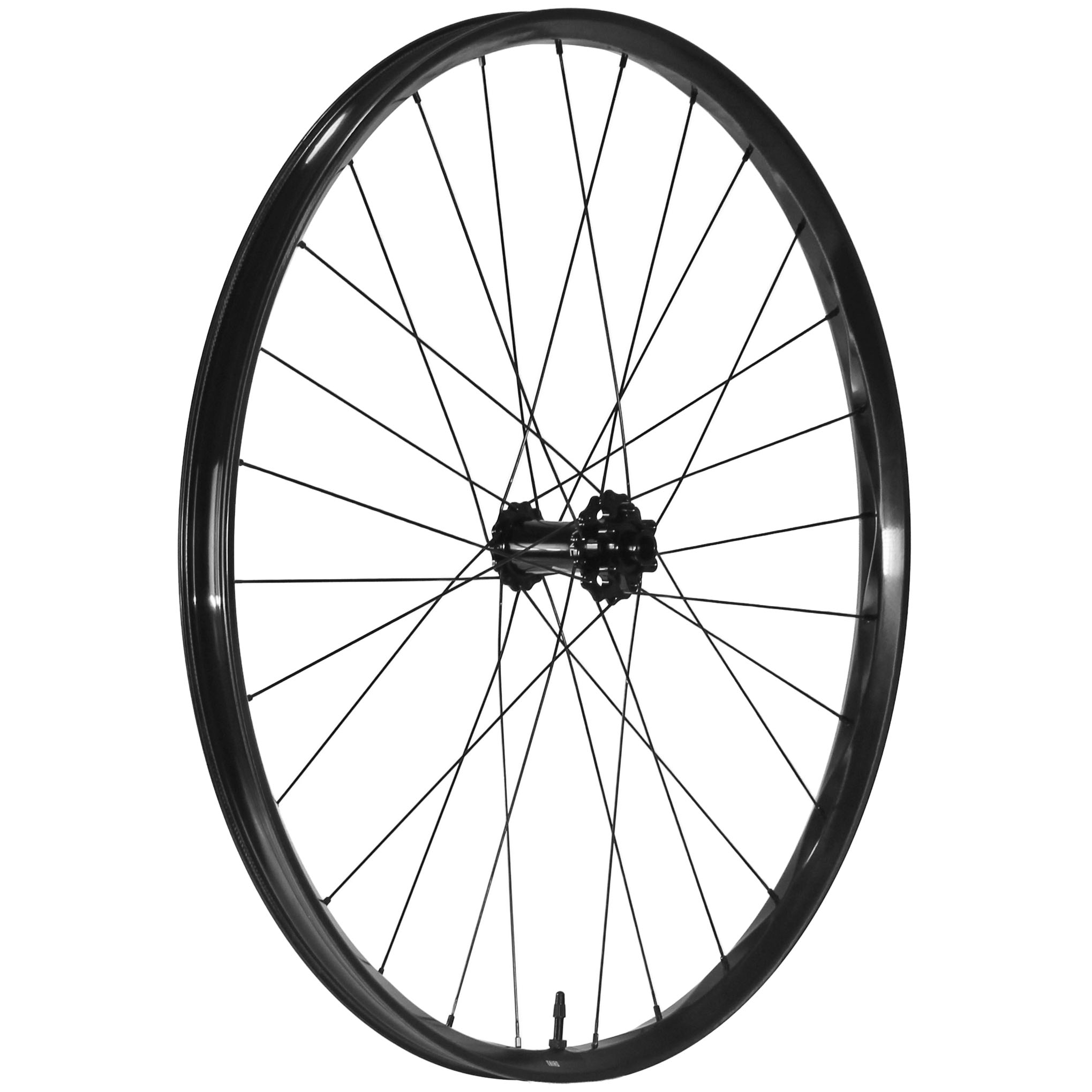 We Are One Triad 29" Front Wheel 15x110 Black