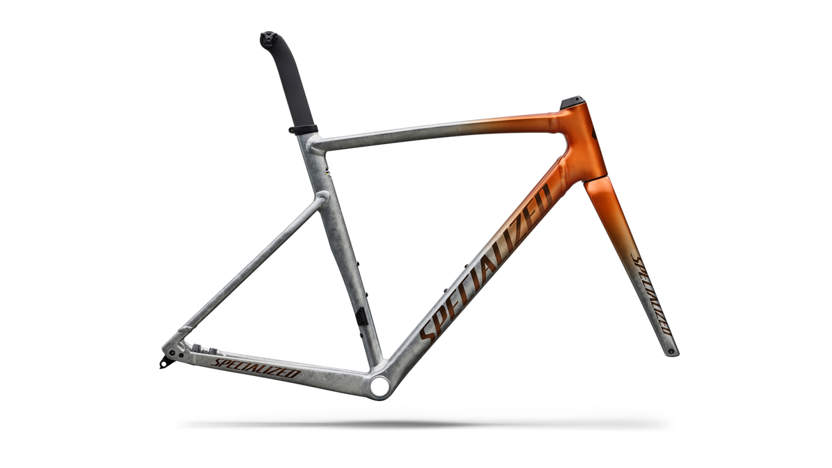 Allez Sprint Frameset - D'Aluisio Smartweld Alloy variant 2