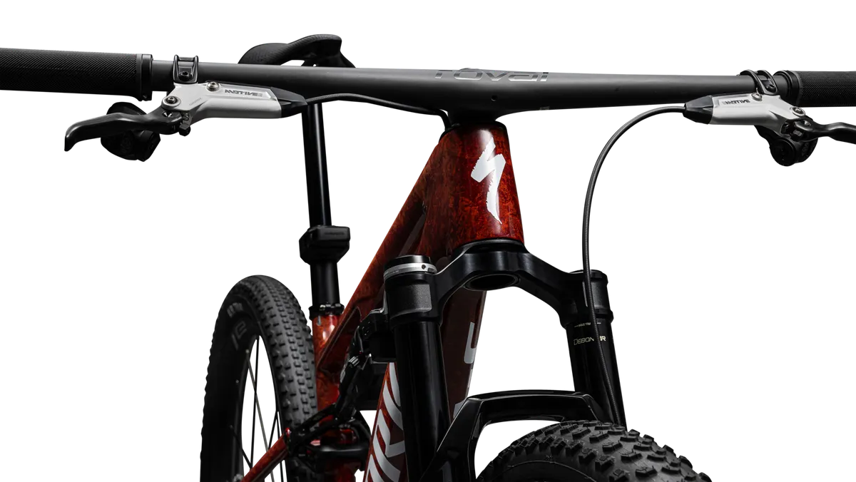 S-Works Epic 8 – SRAM XX SL AXS, RockShox Ultimate Flight Attendant - Image 10