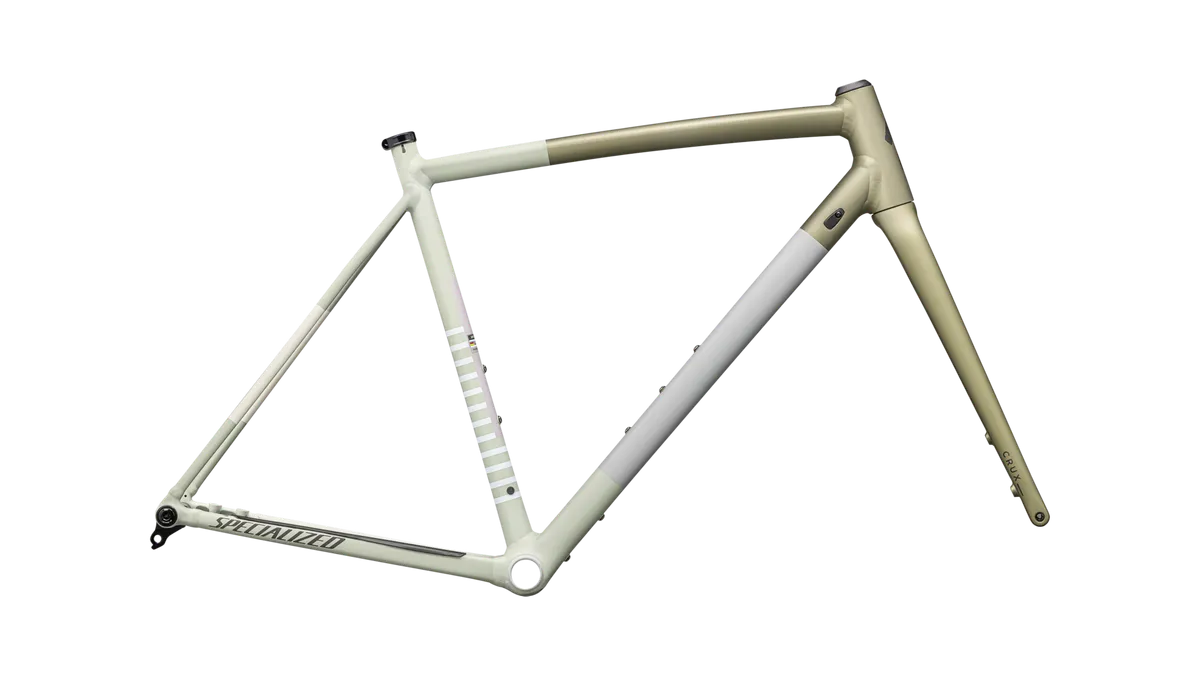 Crux DSW Frameset - D'Aluisio Smartweld Alloy variant 2