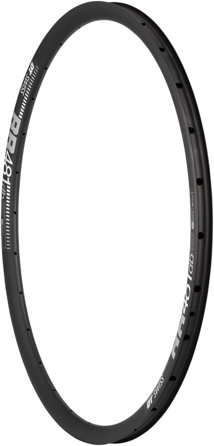 DT Swiss RR 481 Disc 29in Rim