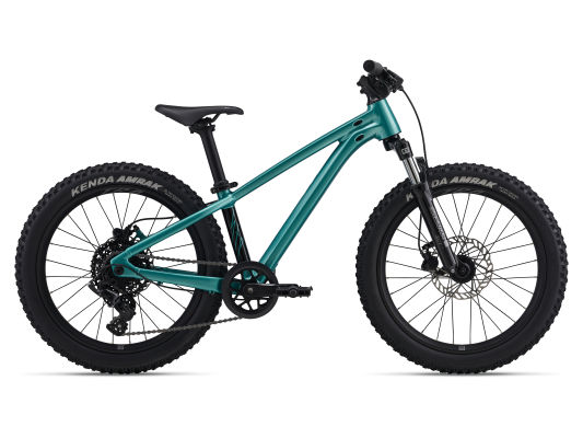 STP 20 FS - One Size - Teal