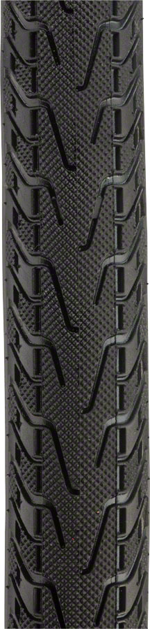 Panaracer Pasela ProTite Tires - Image 9