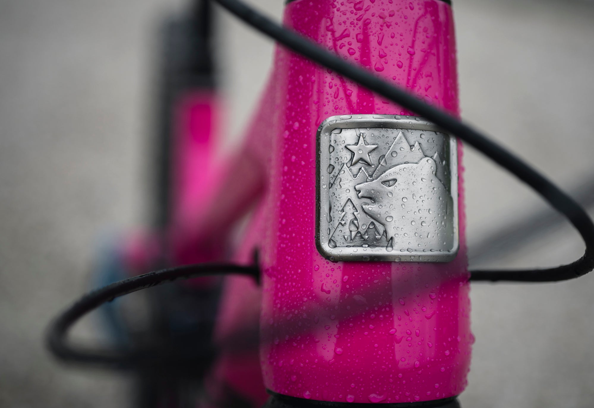 2025 Alpine Trail Alloy XR Frame Kit - Image 4