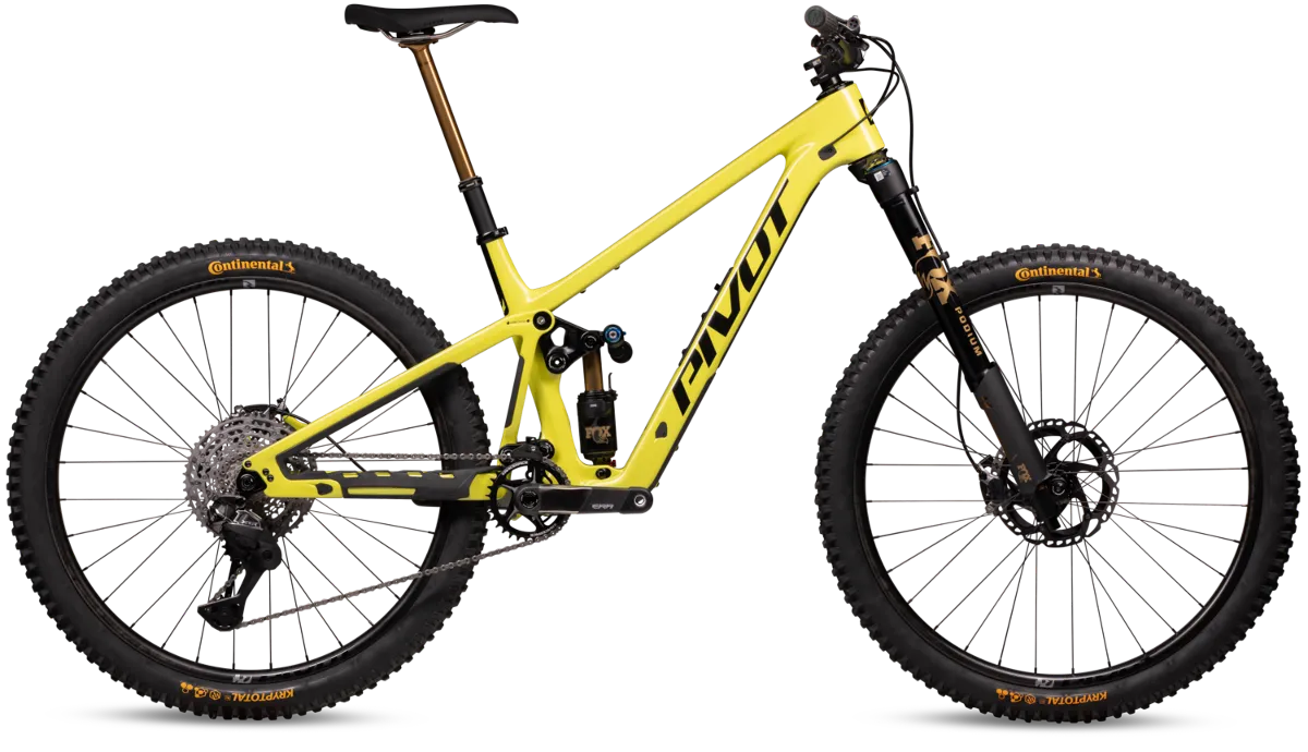 Firebird Team XTR Di2 Podium | 29" variant 2