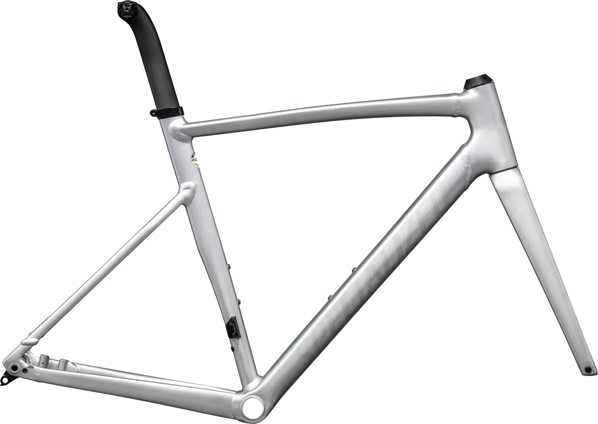 Allez Sprint Frameset - D'Aluisio Smartweld Alloy variant 2