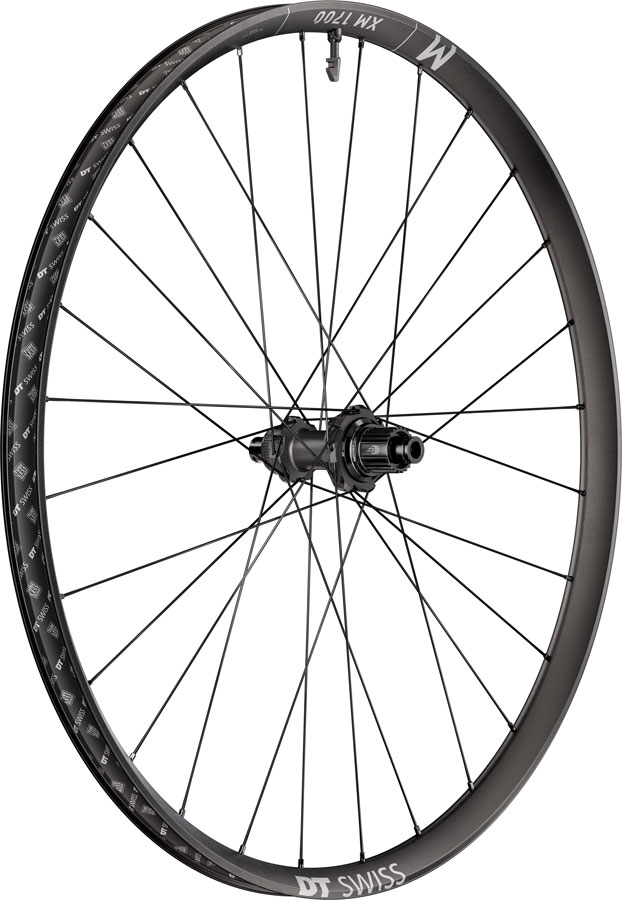 DT Swiss XM 1700 Spline 30 Rear Wheel - 27.5" 12 x 148mm Center-Lock Micro Spline 12M DEG 72 DF BLK