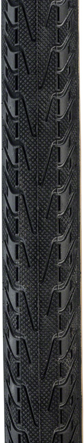 Panaracer Pasela Tire - Clincher Wire 60tpi - Image 7