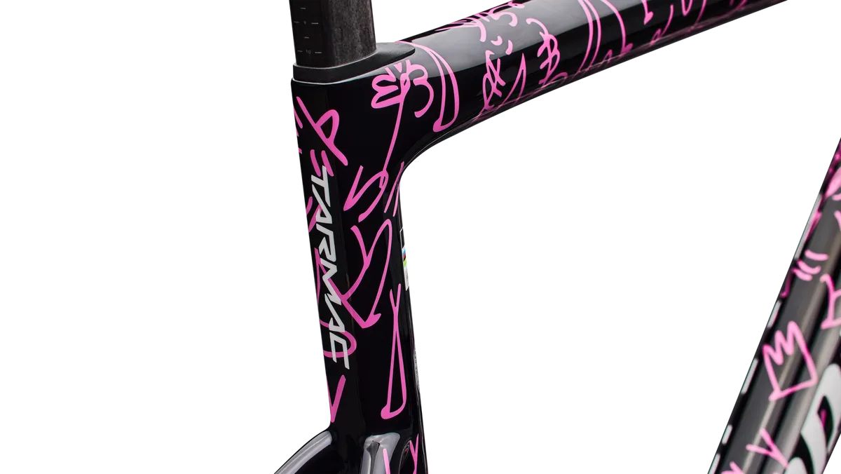 S-Works Tarmac SL8 Frameset LTD - Lucas Beaufort - Image 5