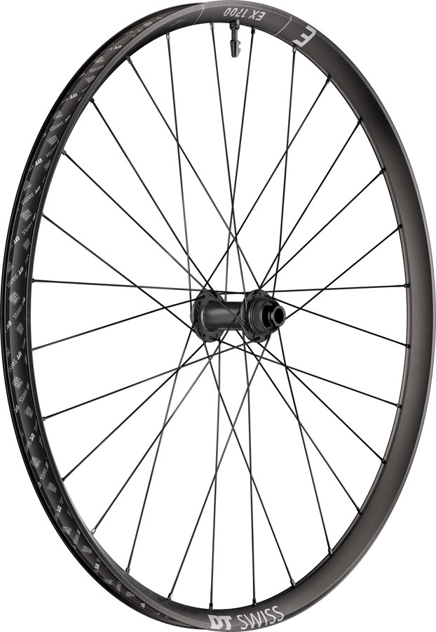 DT Swiss EX 1700 Classic 30 Front Wheel - 29" 15 x 110mm Center-Lock Black