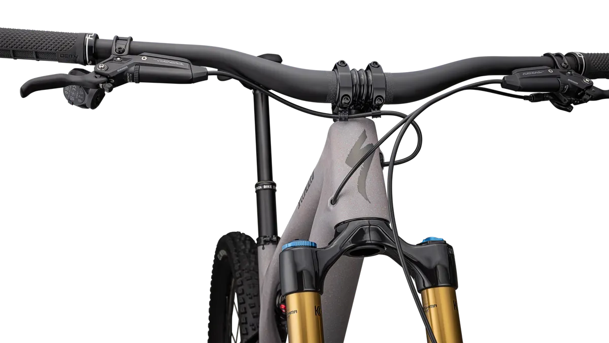 Stumpjumper EVO Pro T-Type - SRAM X0 AXS, FOX Factory - Image 5
