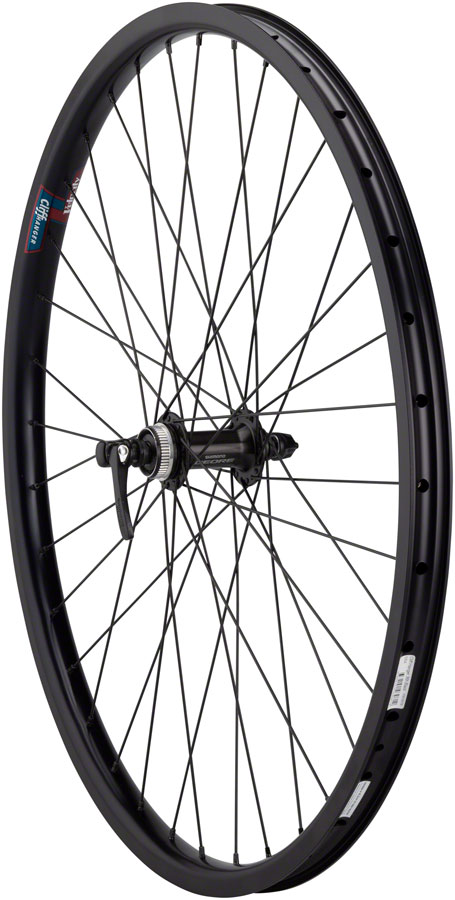 Quality Wheels Value HD Series Disc Front Wheel - QR x 100mm, Center-Lock, Black variant 3