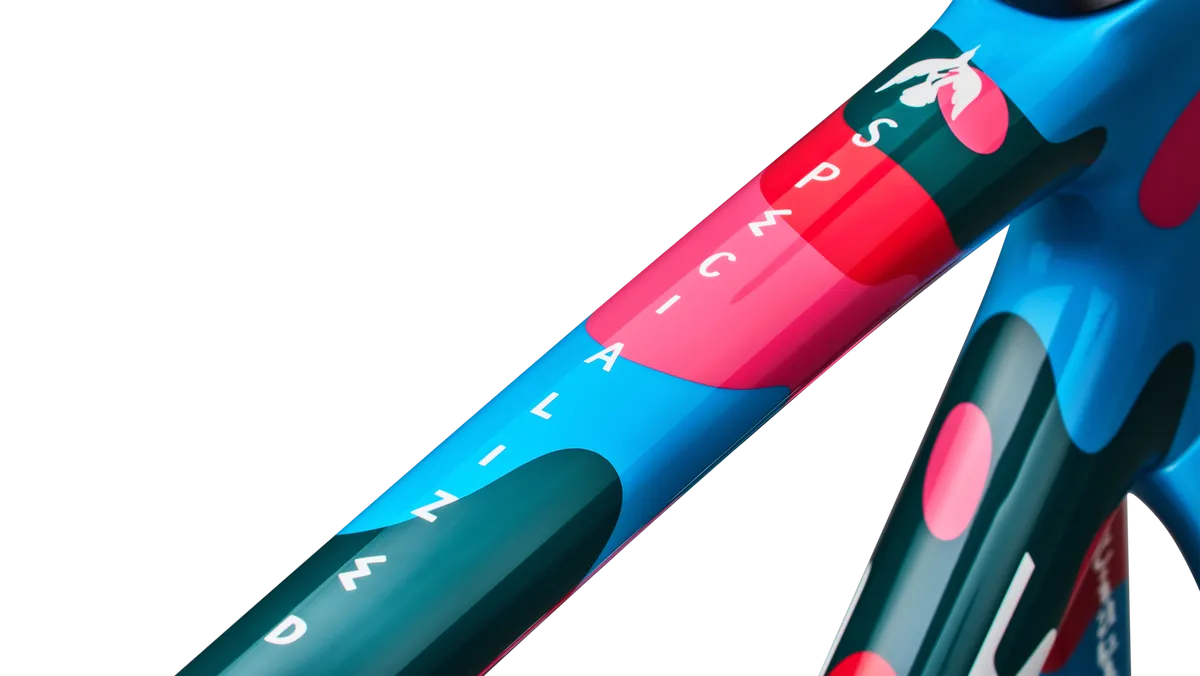 S-Works Tarmac SL8 Frameset LTD - Parra - Image 4