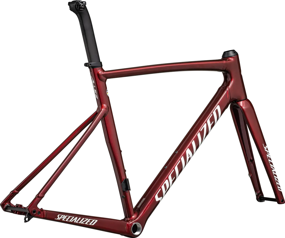 Allez Sprint Frameset - D'Aluisio Smartweld Alloy - Image 3