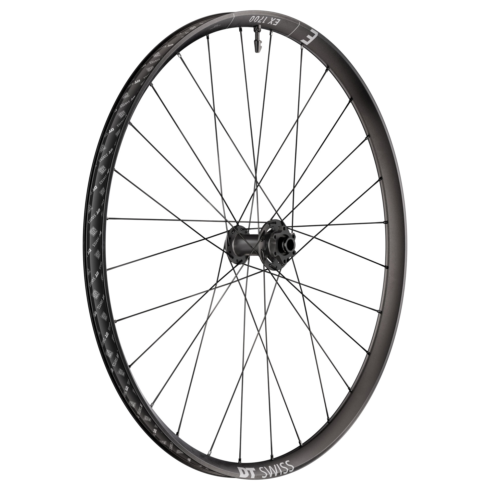 DT Swiss EX 1700 Classic Front Wheel 29" 15x110