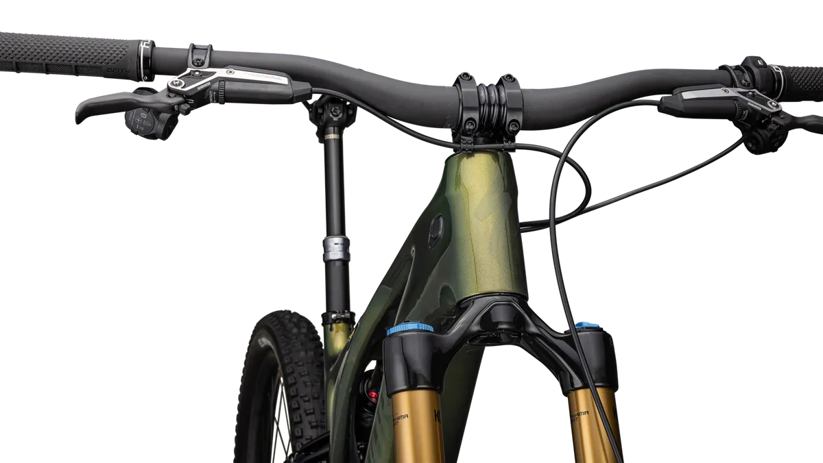 S-Works Turbo Levo 3 T-Type - Image 10