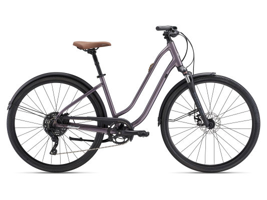 Flourish FS Disc variant 2