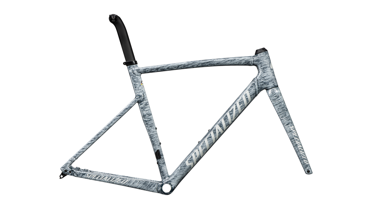 Allez Sprint Frameset - D'Aluisio Smartweld Alloy variant 2