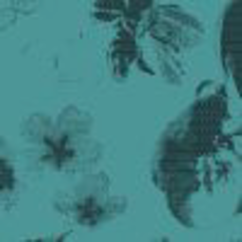 Women's PRO Tall Socks - Image 7