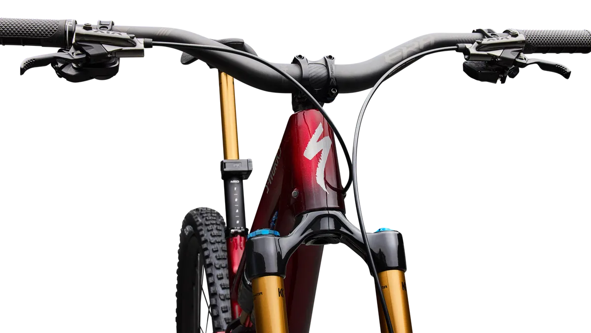 S-Works Stumpjumper 15 EVO - Shimano XTR Di2, FOX Factory - Image 10