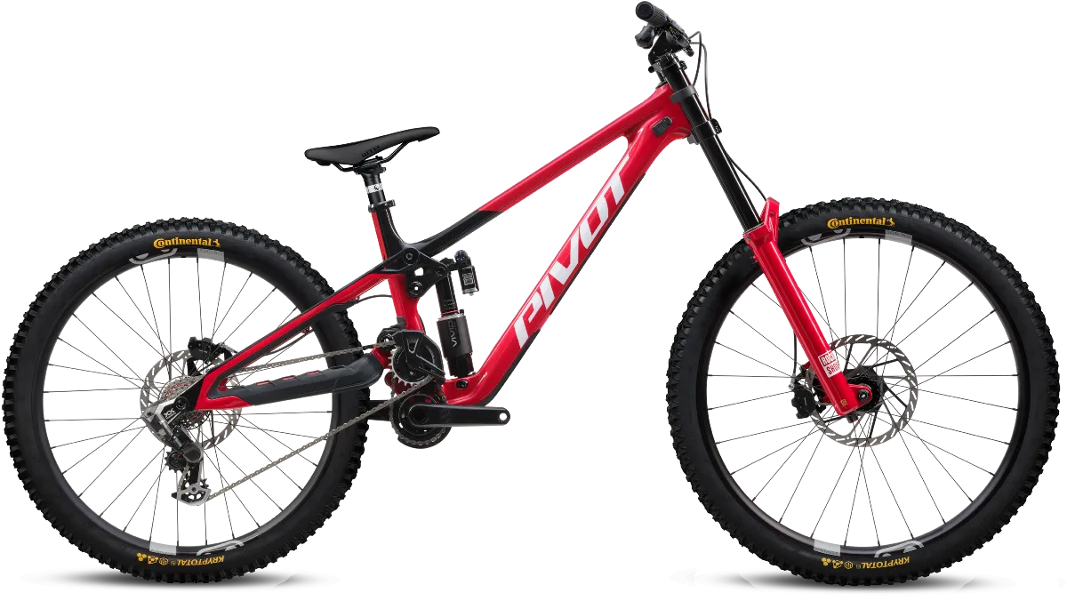 Phoenix Team XX Special Edition