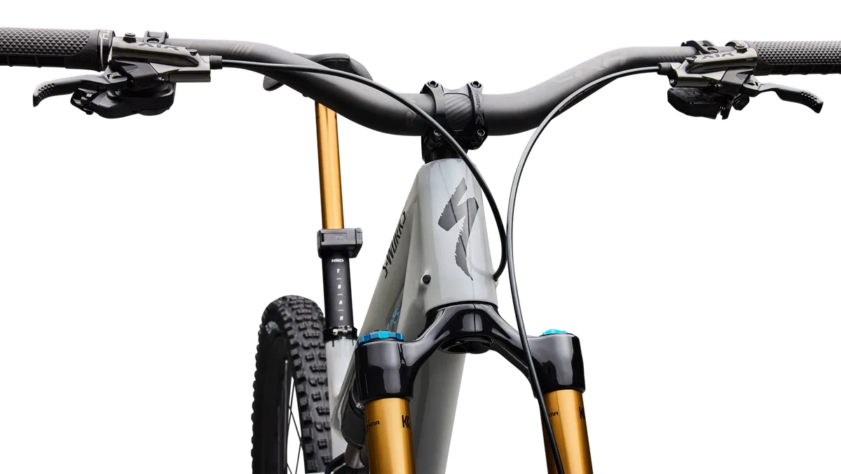 S-Works Stumpjumper 15 EVO - Shimano XTR Di2, FOX Factory - Image 5