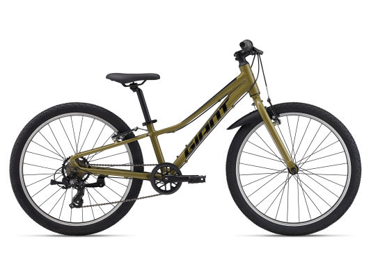 Talon 24 Lite (2025) variant 2