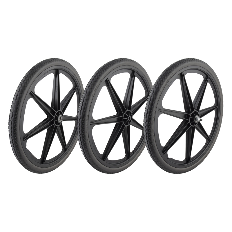 Wheel master Skyway Mag Wheels 24in Wheel SET