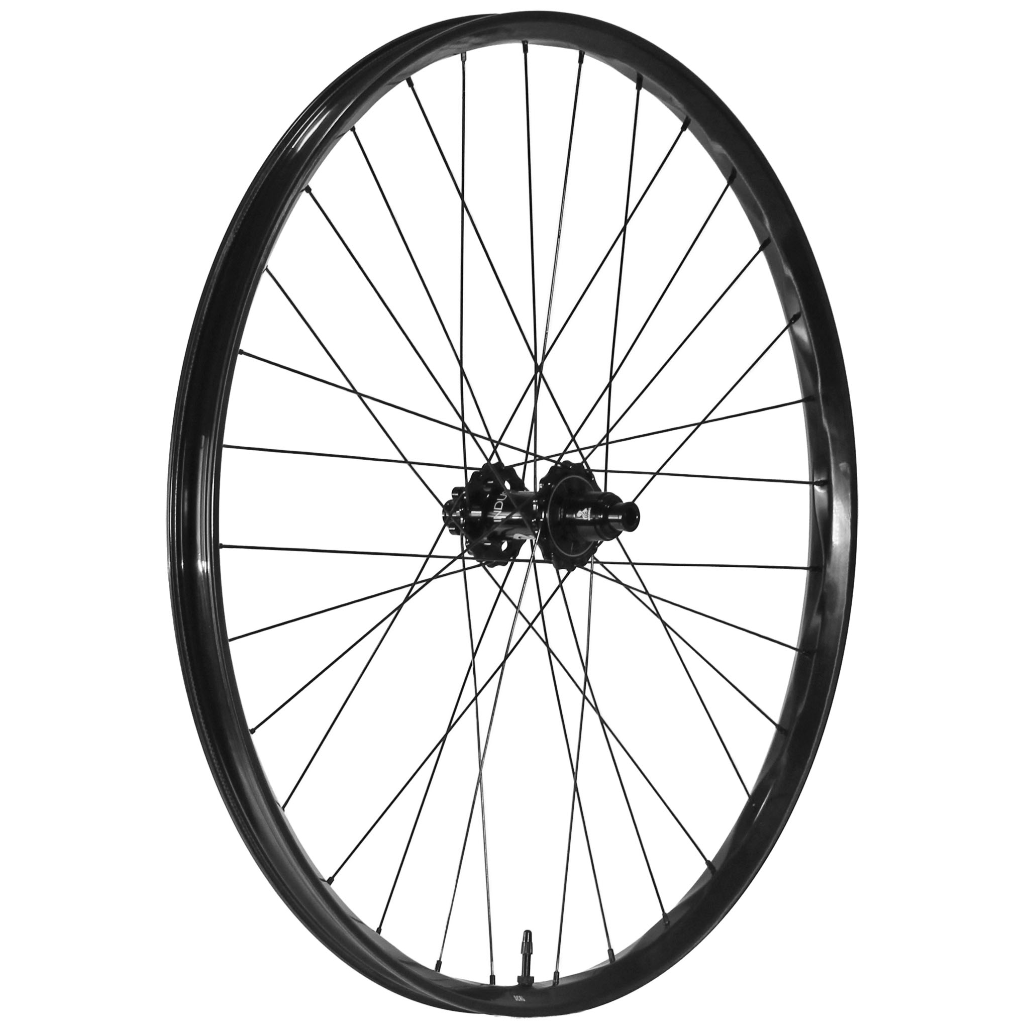 We Are One Deal 29" Rear Wheel 12x148 XD Black