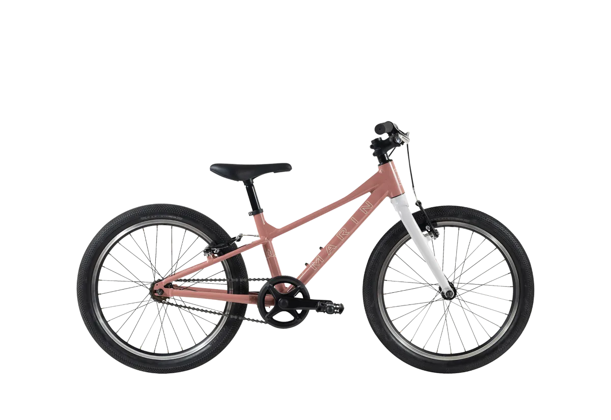 Coast Trail 20" 1 variant 3