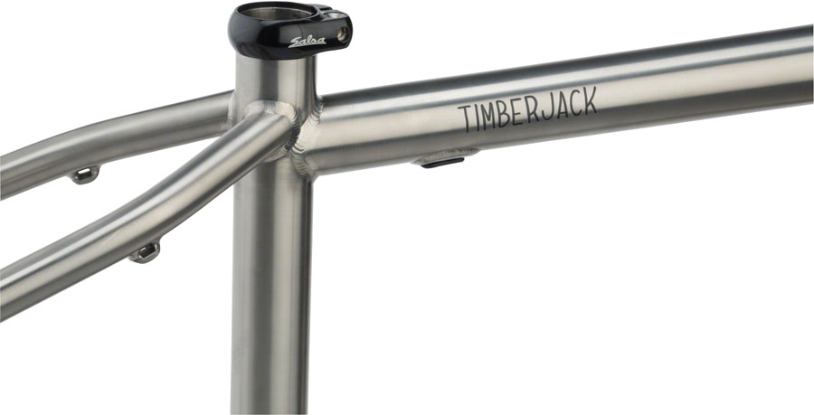 Salsa Timberjack Ti Frame - Image 3