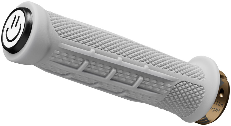 Ergon GDH Team Grips - Image 9