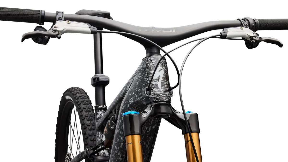 S-Works Turbo Levo R - Image 5