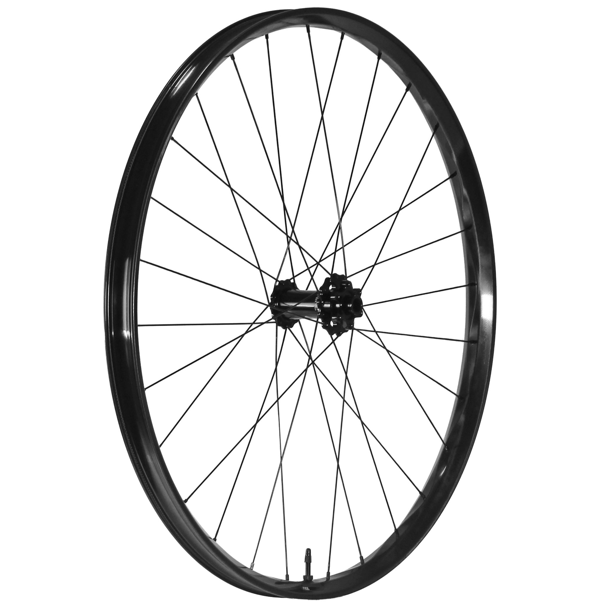 We Are One Fuse 29" Front Wheel 15x110 Black