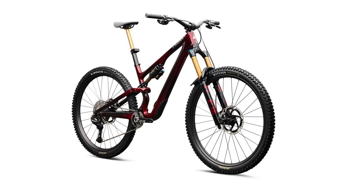 S-Works Stumpjumper 15 EVO - Shimano XTR Di2, FOX Factory - Image 7